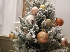 -法桐蛋糕·手作面包(万达公馆店)