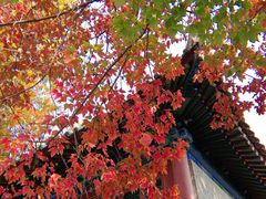 -兴教寺