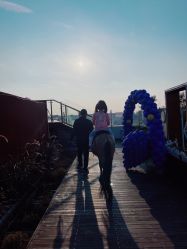 -小蜜蜂农场(凯德七宝购物广场店)