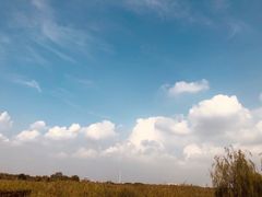 -西青郊野公园