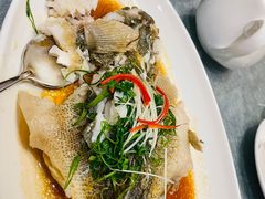 清蒸笋壳鱼-博多新记·粤菜(复兴店)