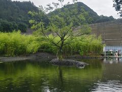 -中国宣纸文化园