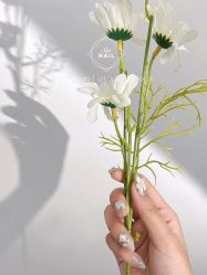 -Sin Nail芯日式美甲美睫店