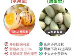 -唐桥水果批发市场