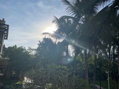 -三亚海棠湾万丽度假酒店