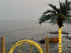 -Vanillacafe香草咖啡(银海大世界店)