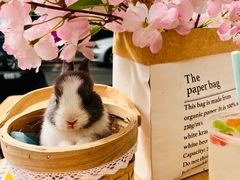 -大象厨房(重庆道店)