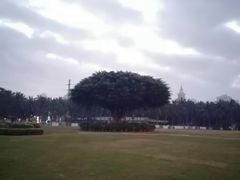 -万绿园