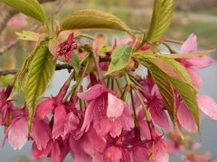 -梁鸿国家湿地公园