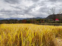 -塔川景区