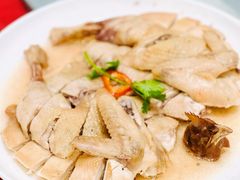 隔水蒸鸡-星湖愉景酒家