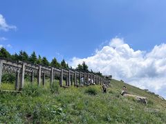 -白草畔自然风景区