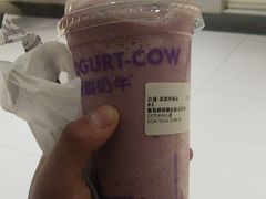-一只酸奶牛(兰州中心店)