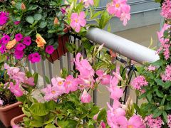 -苏州河梦清园环保主题公园