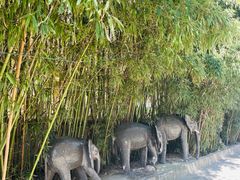 -呀路古热带植物园
