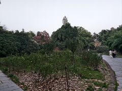 -东湖落雁景区