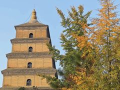 -大慈恩寺(大雁塔)