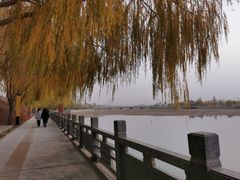 -党河风情线国家水利风景区