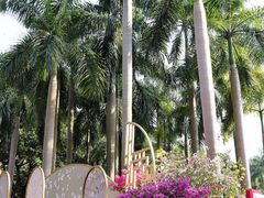 -广州雕塑公园