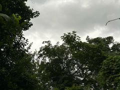 -大蜀山国家森林公园
