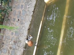 -南翠屏公园