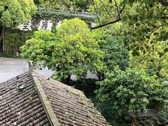 -普陀山雷迪森庄园