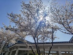 -石湖景区