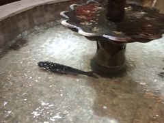 -万里闯关东铁锅炖菜馆(高新旗舰店)