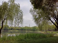 -堤角公园