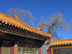 -五台山风景名胜区