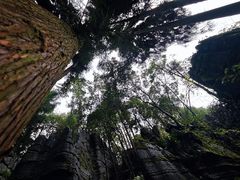 -梭布垭石林景区