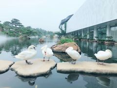 -罗红摄影艺术馆