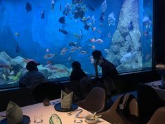 -渔火·特色餐厅(佘山世茂洲际酒店)