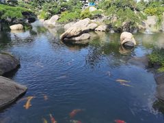 -罗红摄影艺术馆