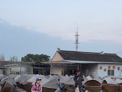 -苏州市吴中区光福窑上花果蜜饯厂