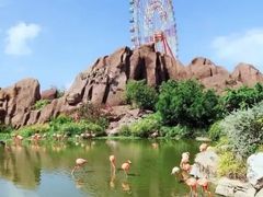 -芽庄珍珠岛游乐园