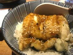 鳗鱼饭-TINY