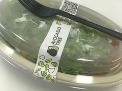 -油梨树AVOCADO TREE(嘉里中心店)