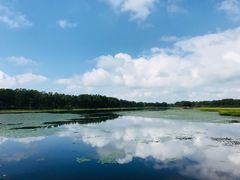 -塞罕坝国家级自然保护区