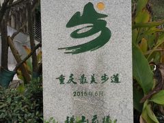 -铁山坪森林公园