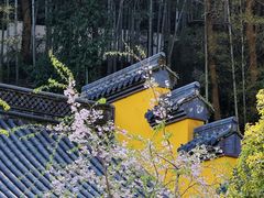 -灵隐飞来峰景区