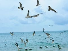 -威海国际海水浴场旅游区