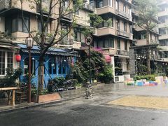 -泡桐树街