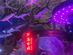 -烟台海昌鲸鲨海洋公园