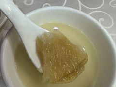 -凤城礼记鱼翅海鲜酒家(新马路总店)