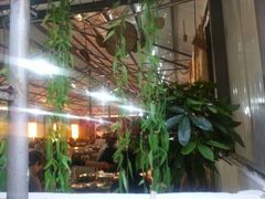 android_upload_pic-岩保农家乐