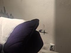 -华夏良子·足道SPA艾灸(龙潭路店)