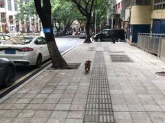 -蒋六十八梯眼镜面(渝中店)