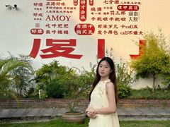 -巨鹏飞梦幻海岸