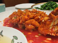 -蝶园·装修中(BFC外滩金融中心店)